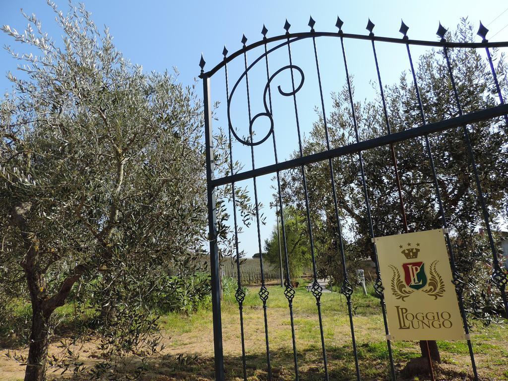 Poggio Lungo ξενώνας Γκροσέτο Εξωτερικό φωτογραφία